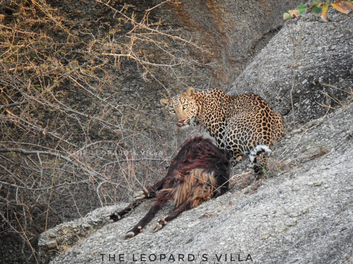 Jawai Leopard Villa Bijapur  Buitenkant foto