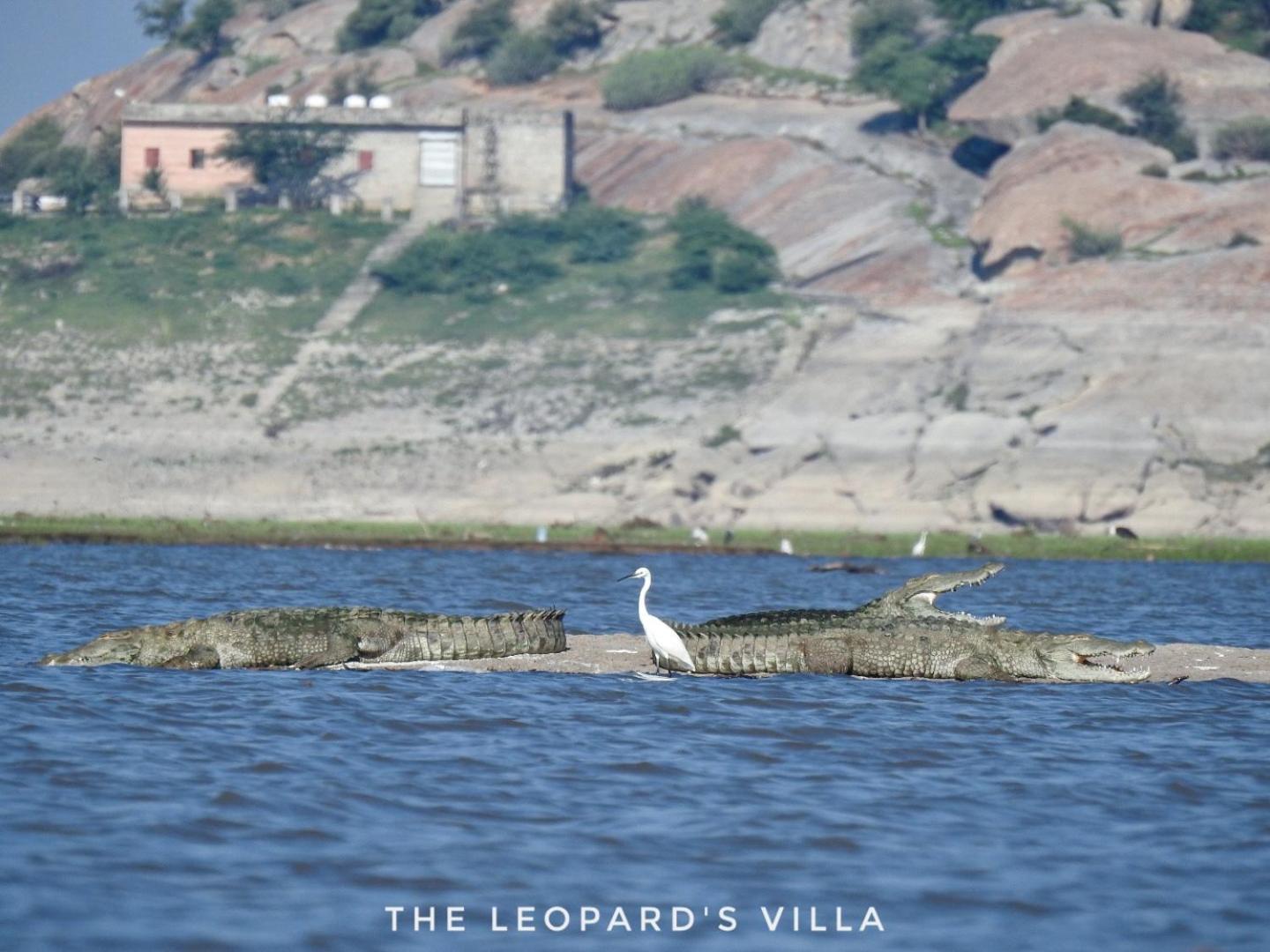 Jawai Leopard Villa Bijapur  Buitenkant foto
