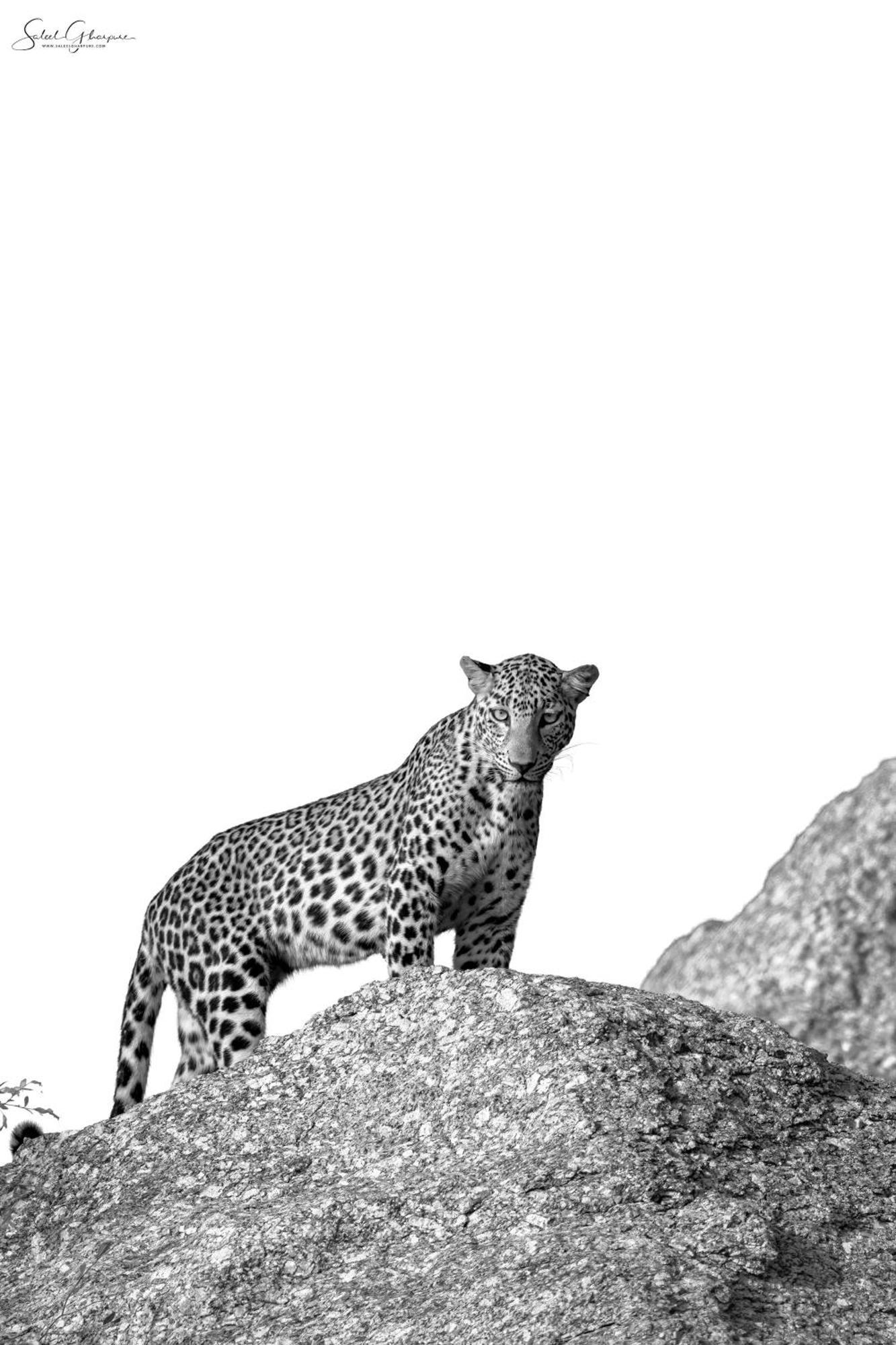 Jawai Leopard Villa Bijapur  Buitenkant foto